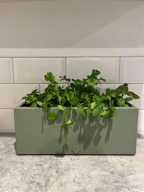 Libby: A Little Style Goes a Long Way