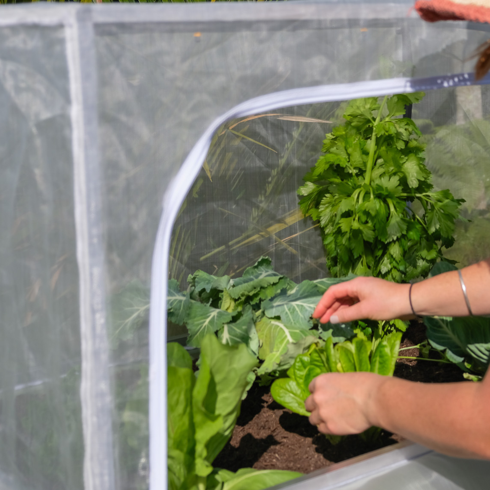 Filling 'The Provider'