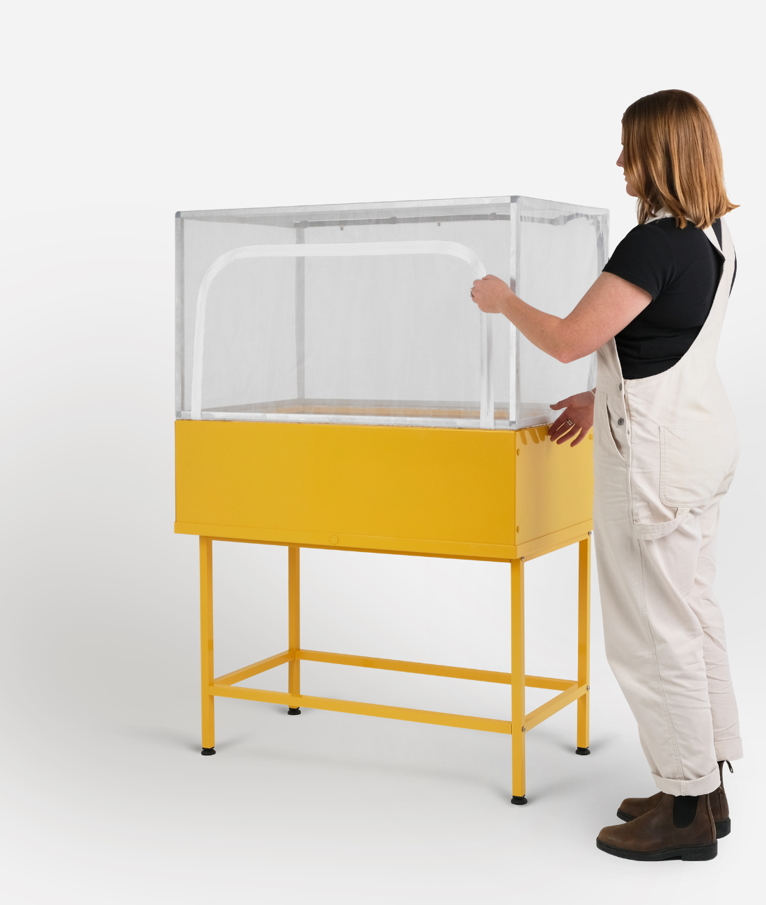 the provider | sunshine