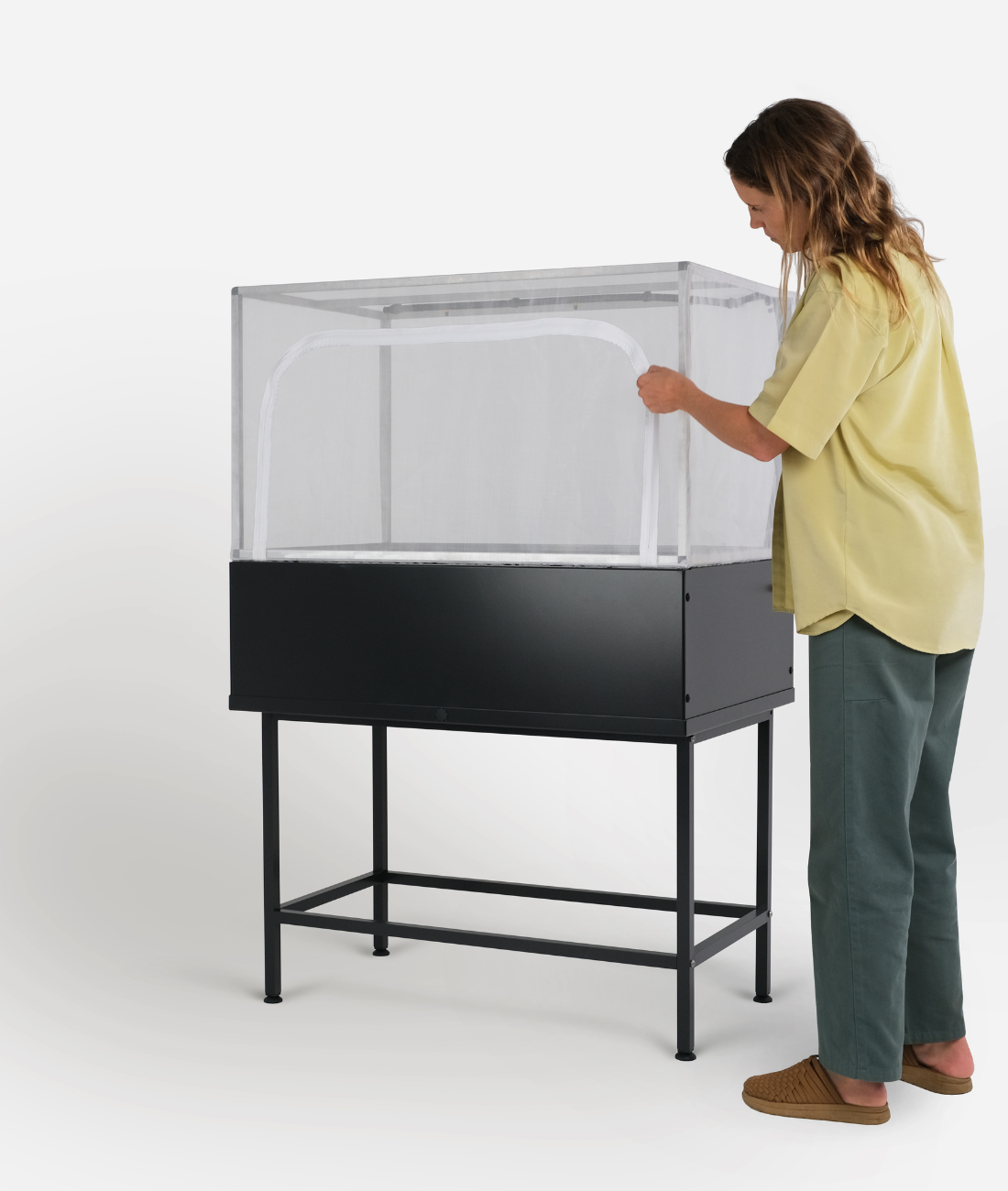 the provider | midnight