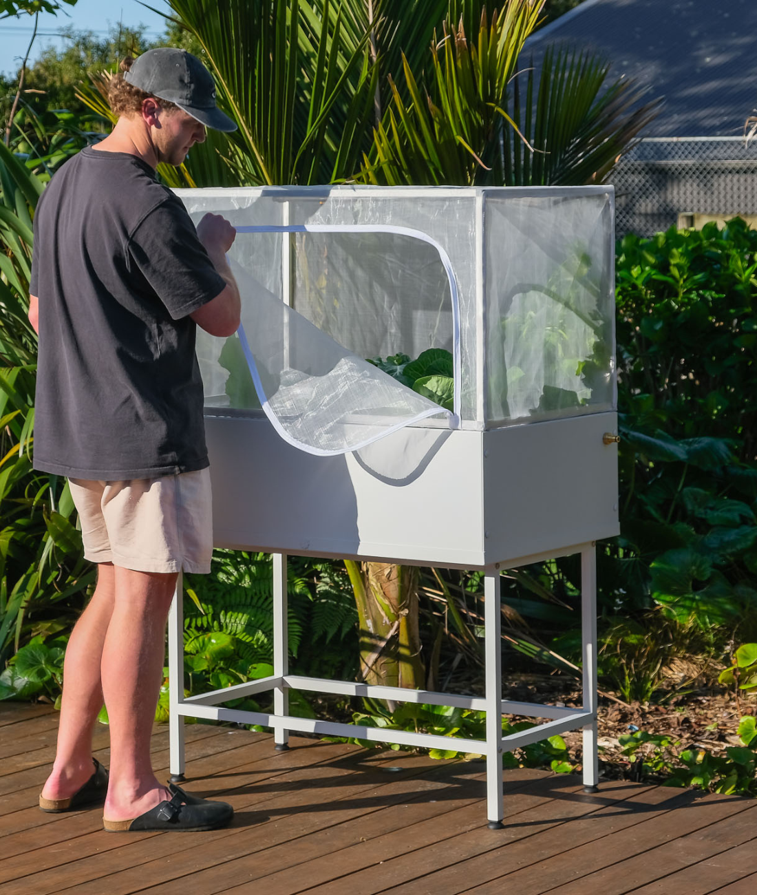 the provider |  kinda white