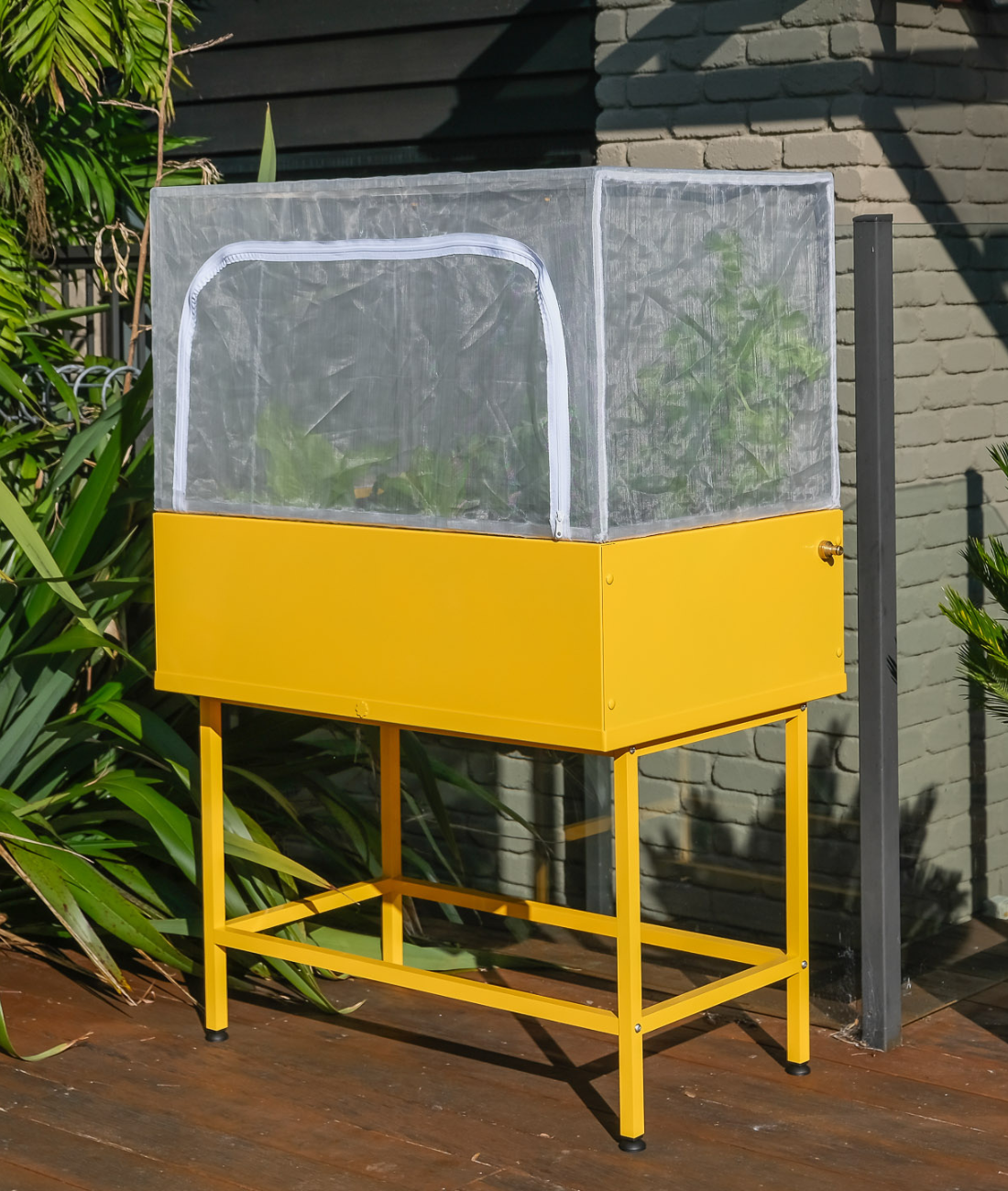 the provider | sunshine