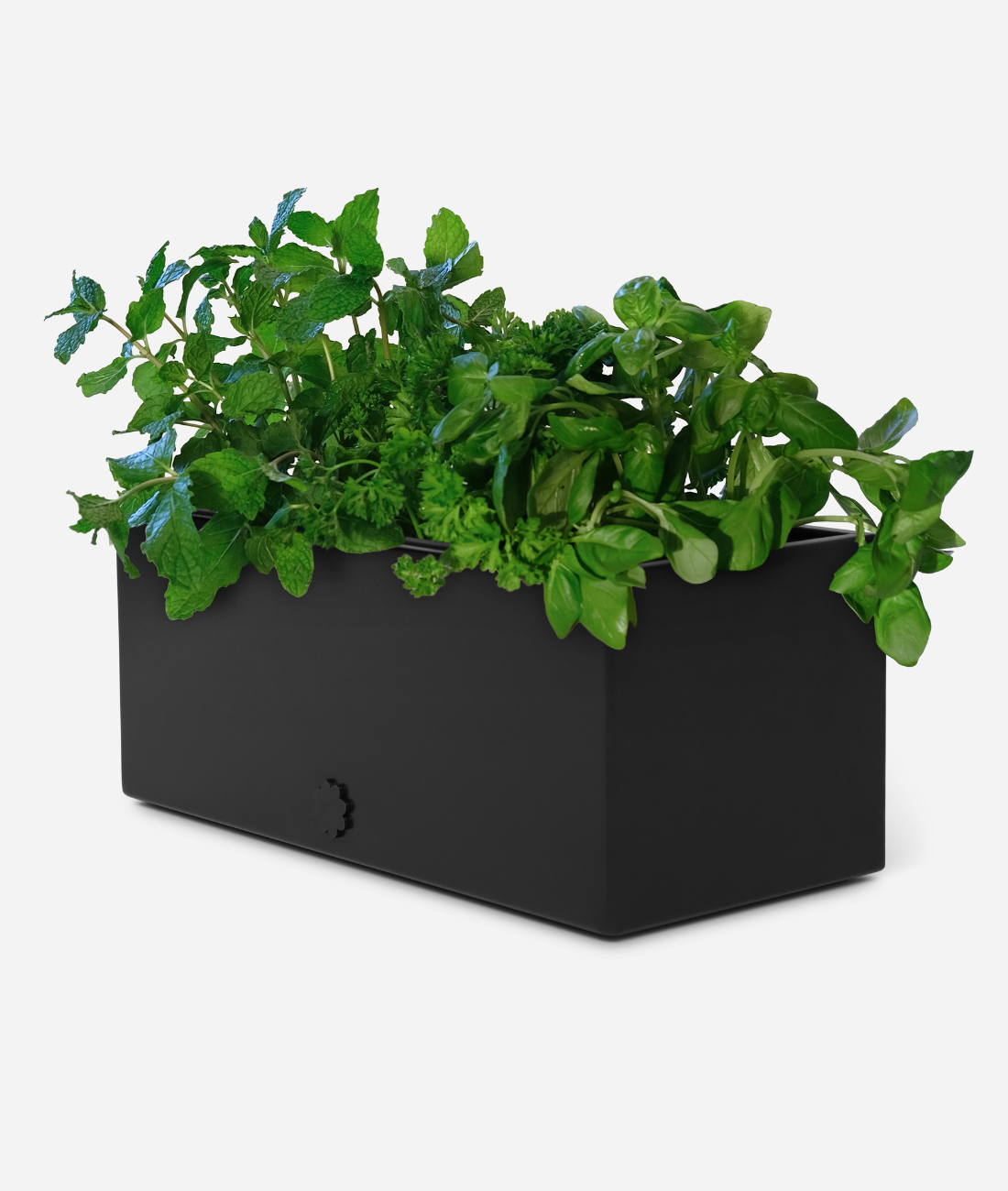 bench top baby | midnight