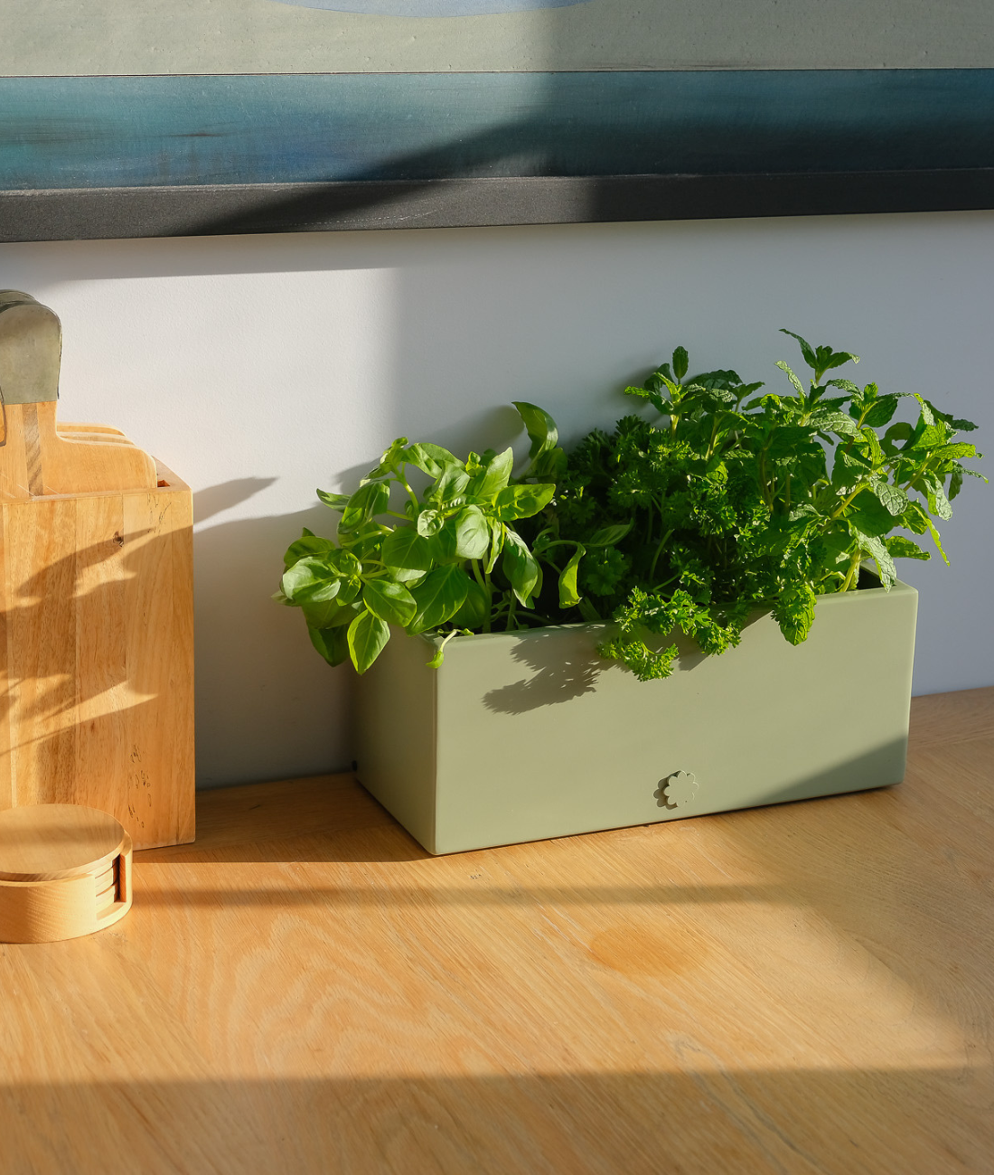 bench top baby | leafy green