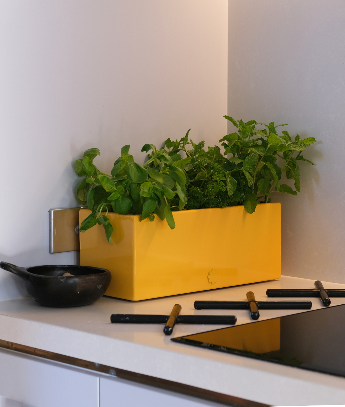 bench top baby | sunshine