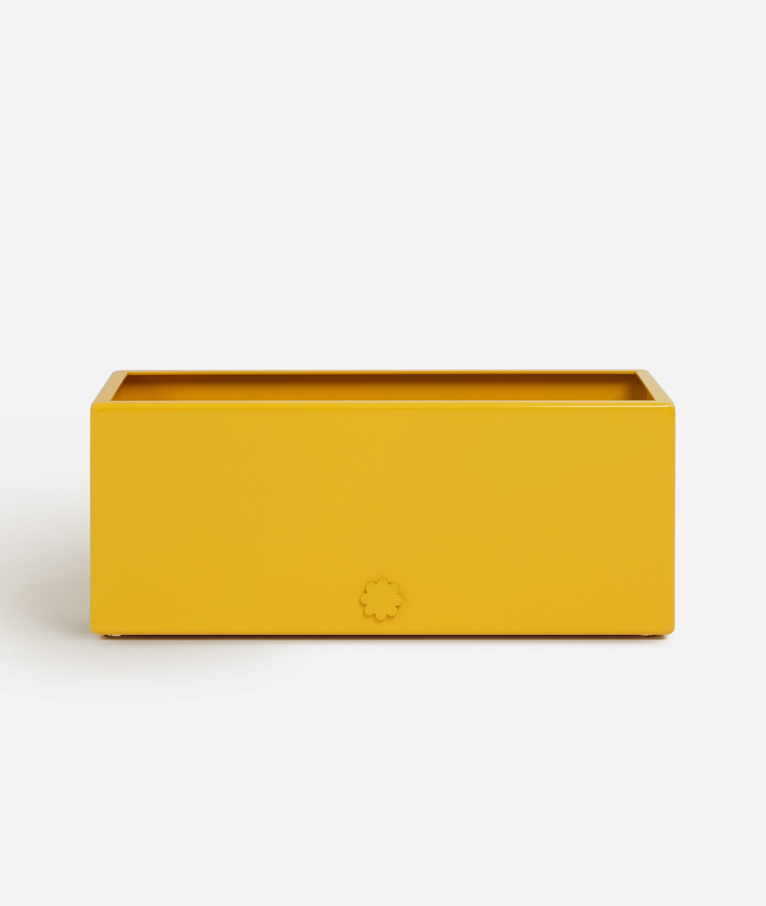 bench top baby | sunshine