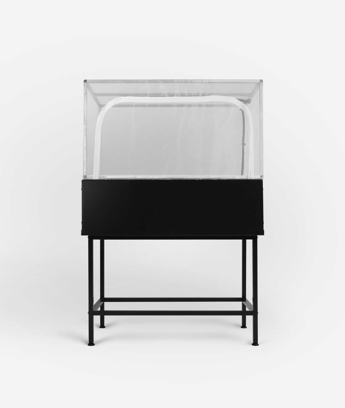 the provider | midnight