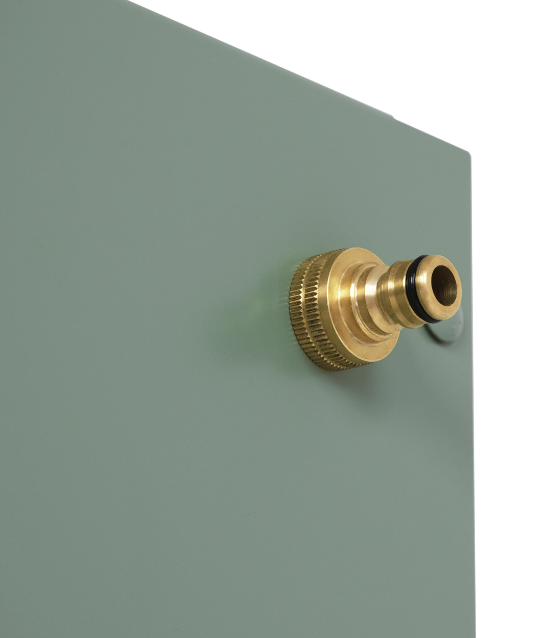 the provider | leafy green