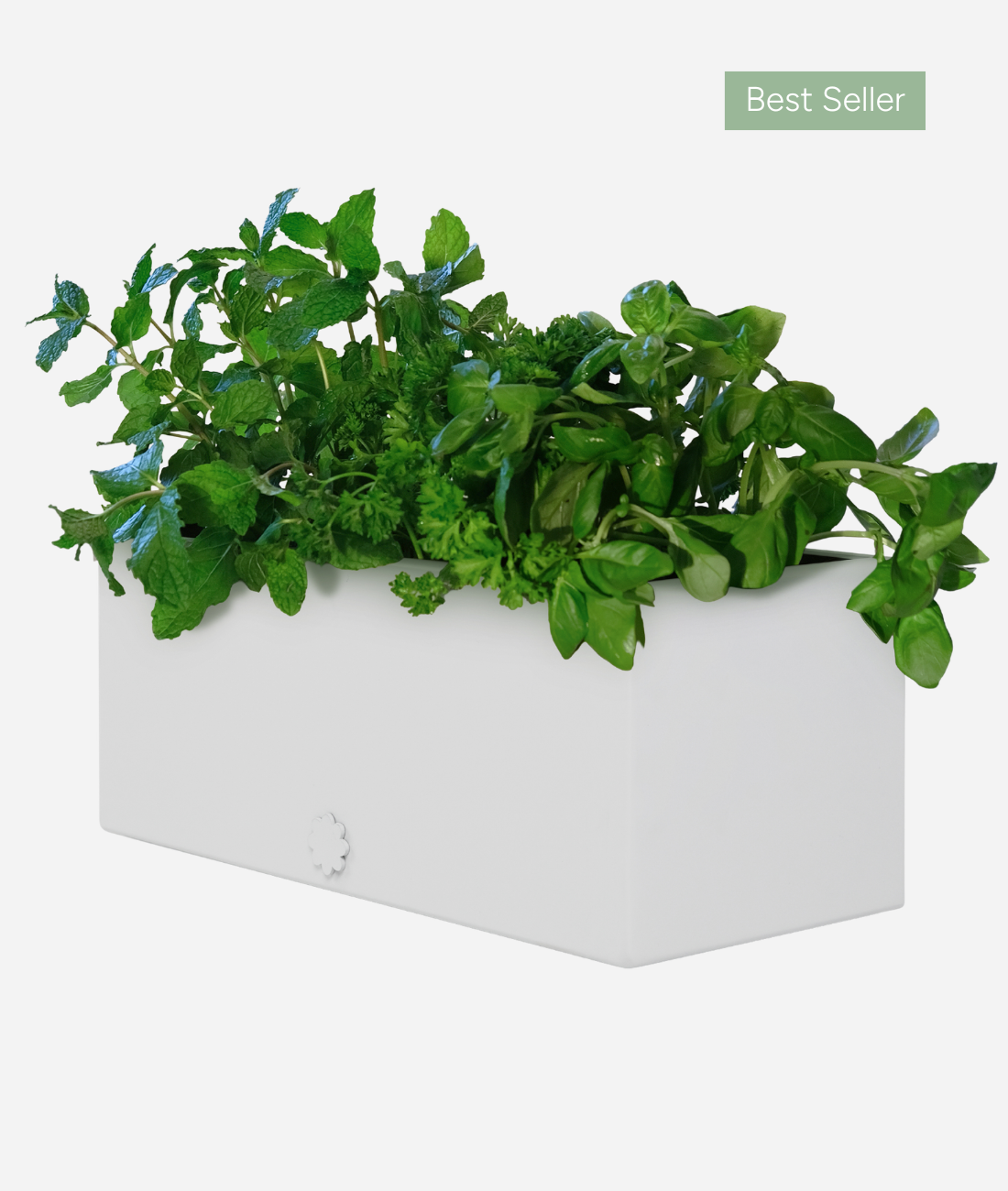 best indoor herb planter bench top baby | kinda white