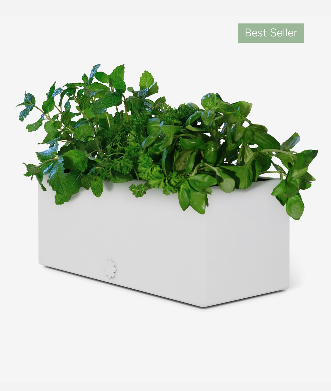 bench top baby | kinda white