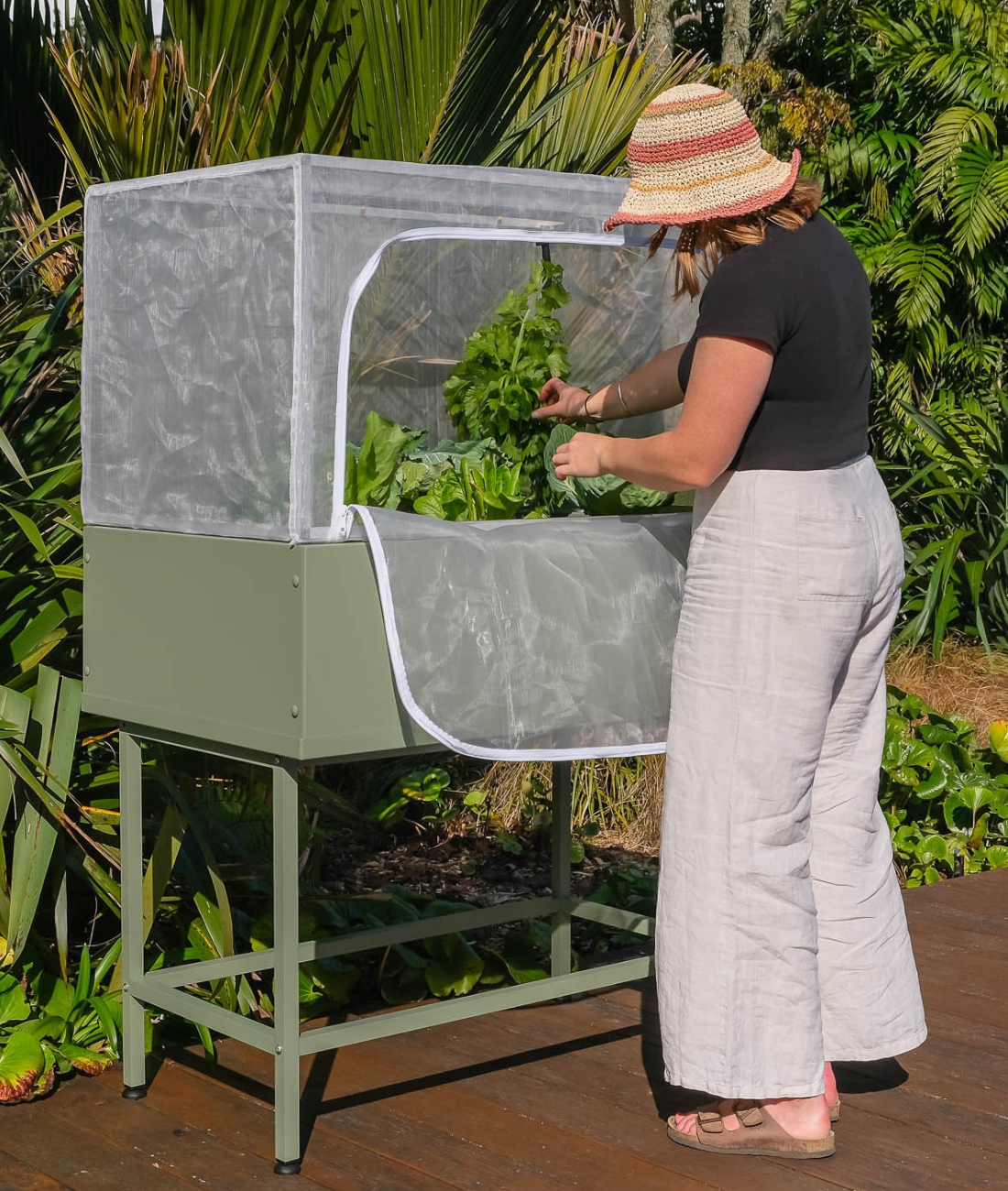 the provider | leafy green