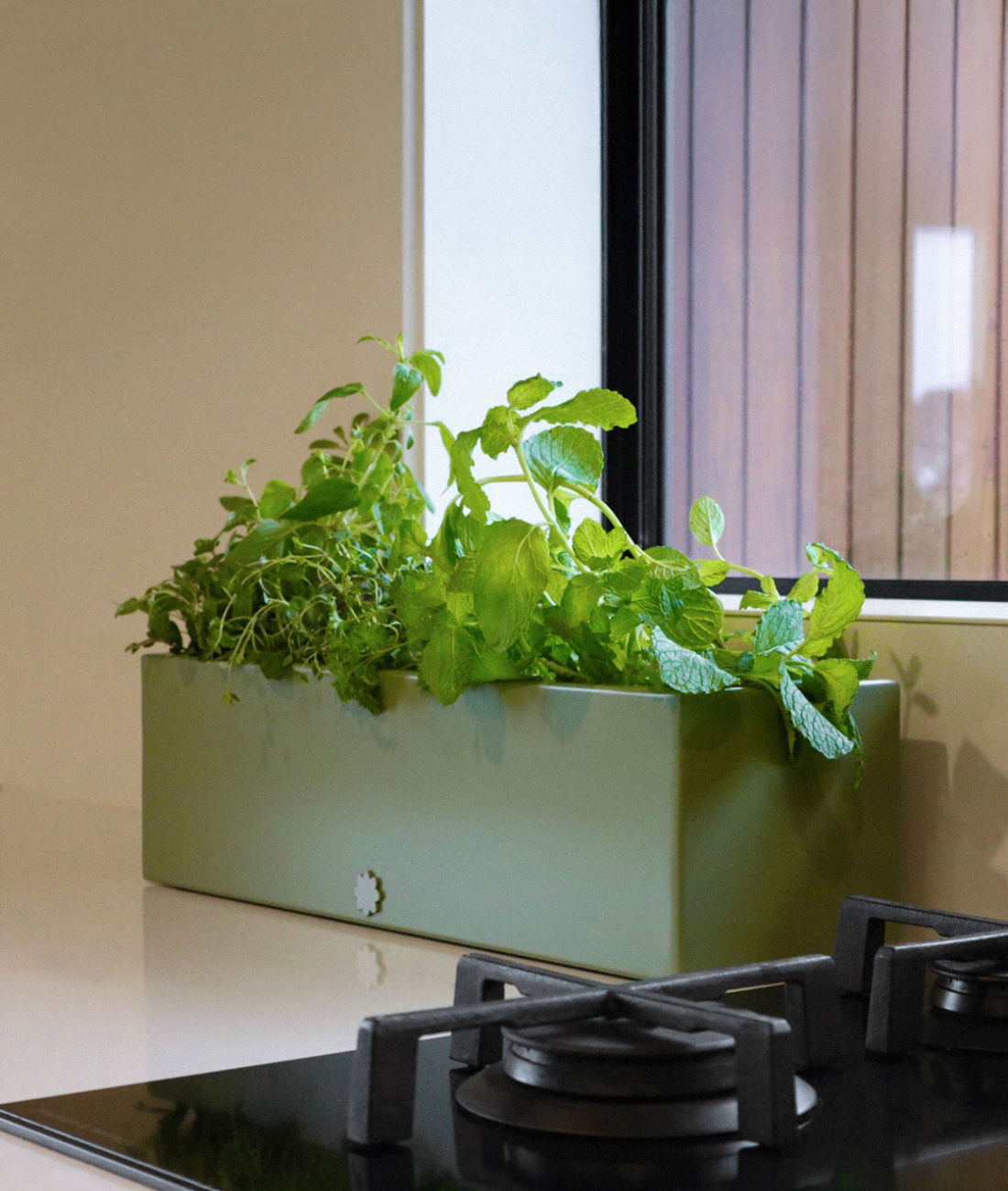 Table Top Toddler | Midnight