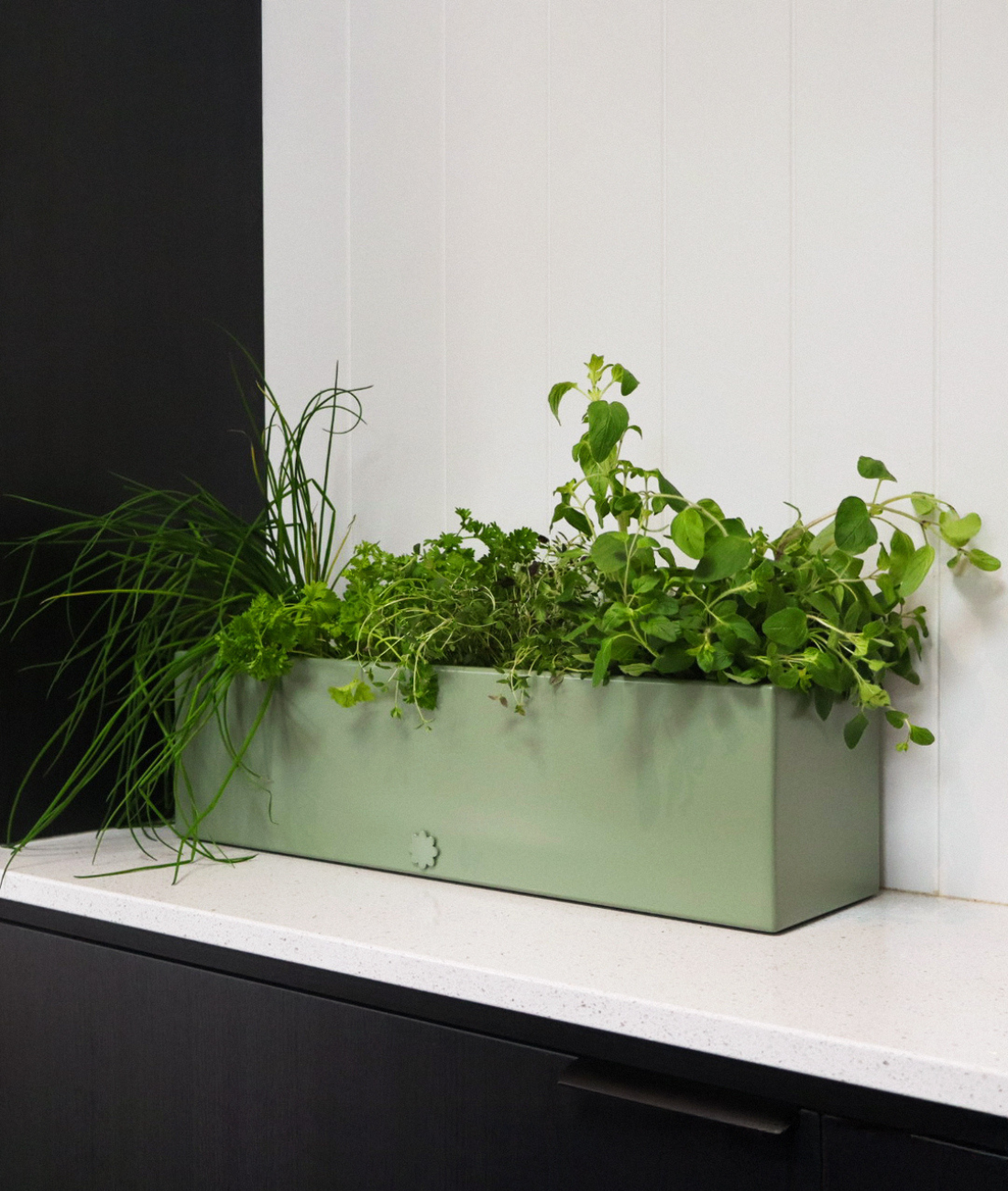 Table Top Toddler | Kinda White